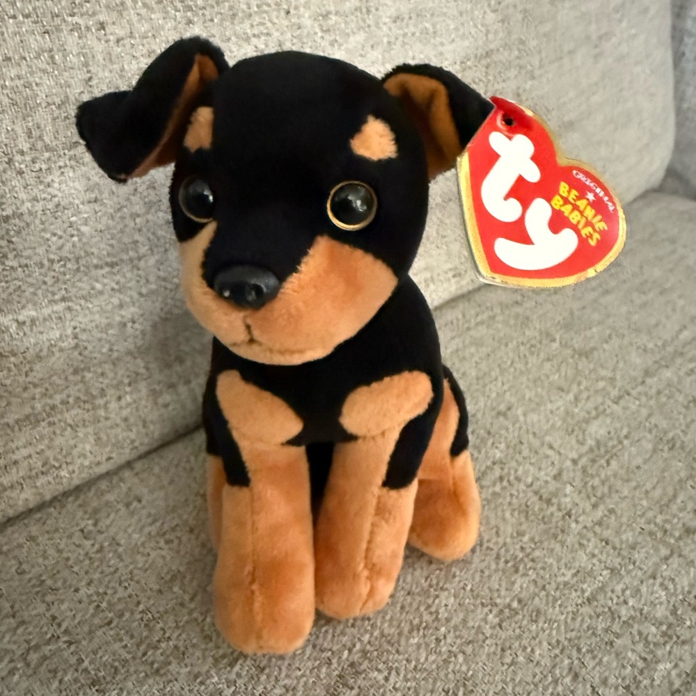 TY Beanie Baby - DAVEY  the Animal Abuse Prevention Dog